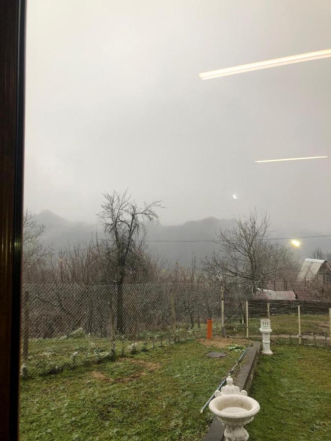 Casa Radu Lui Anghel Villa Barbuletu Bagian luar foto